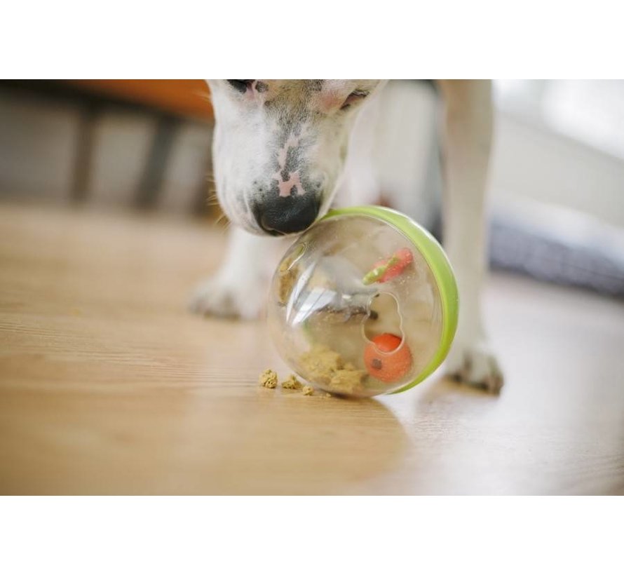 Dog Toy Wobble Ball Green