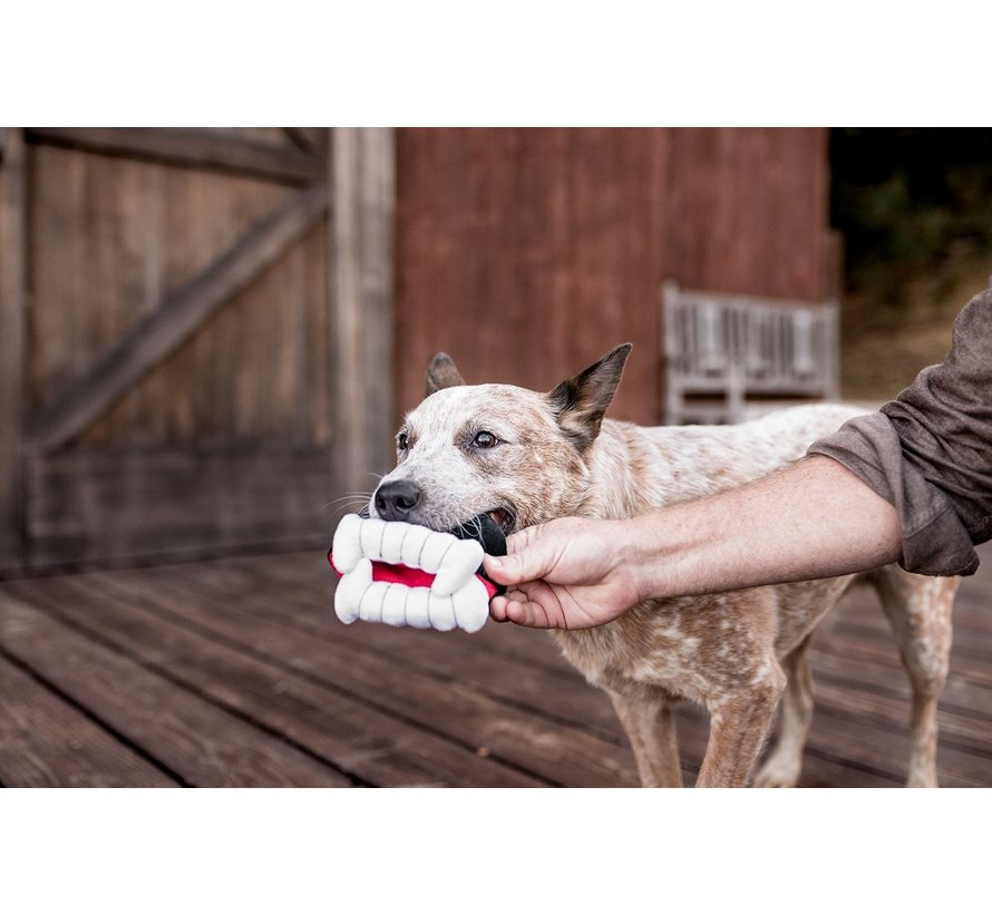 Dog Toy Howling Haunts - Barky's Bite