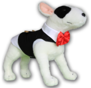 Doxtasy Dogs Smoking