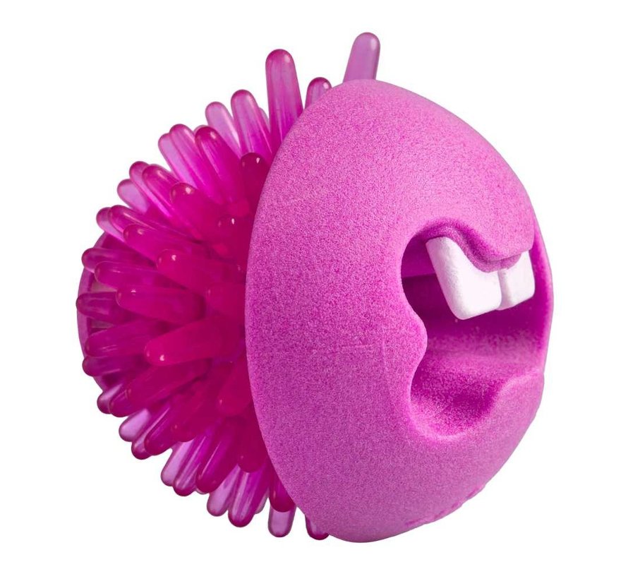 Dog Toy Fred Pink