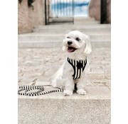 Barcelona Dogs Dog Harness Zebra