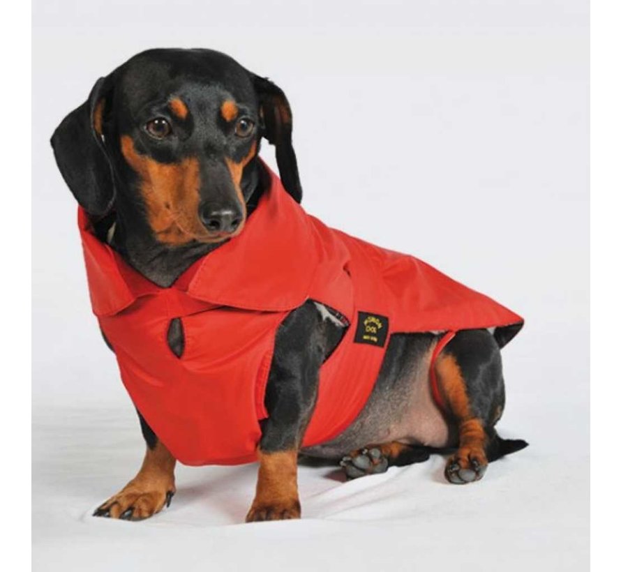 Dog coat Dachshund Red