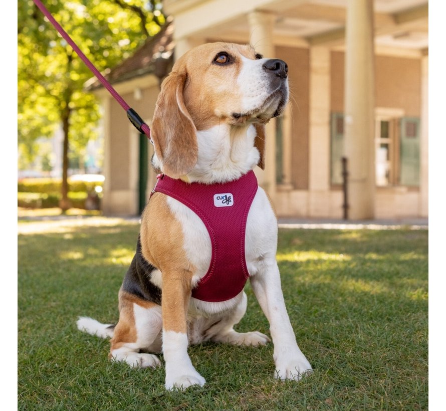 Dog Harness Clasp Vest Harness Red