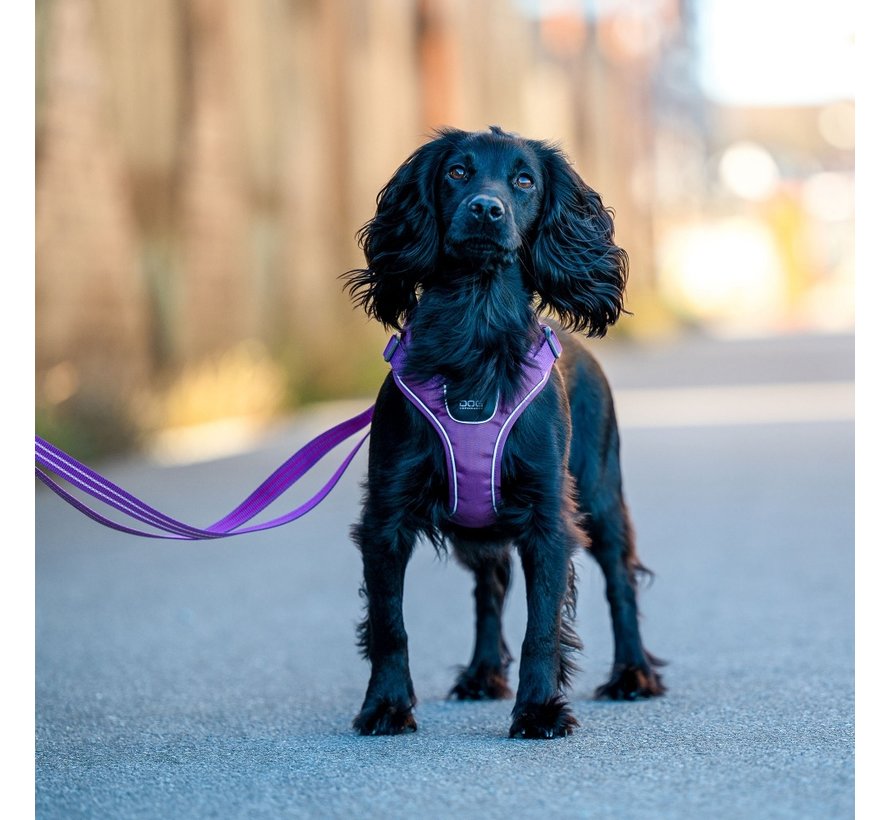 Dog harness Comfort Walk Pro Go Purple Passion