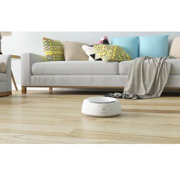 Petalways I-Bowl Smart Feeder