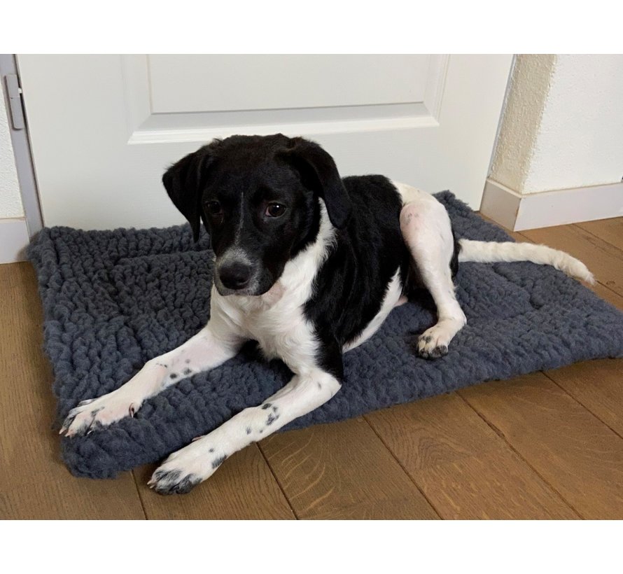 Grey Fleece Dog Cushion