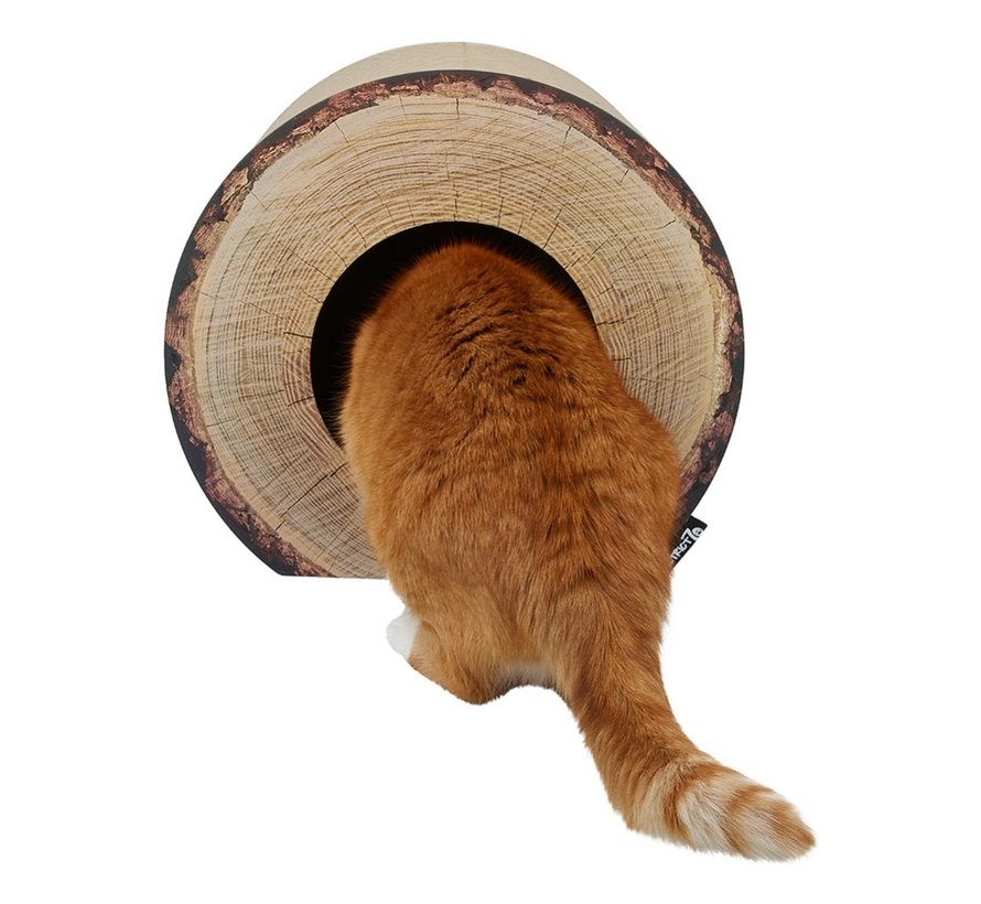 Cat Scratcher Trunk