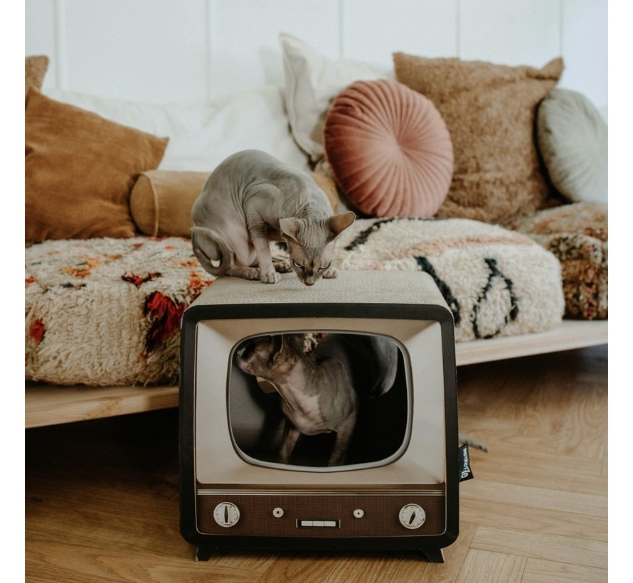 Scratching Furniture Telly