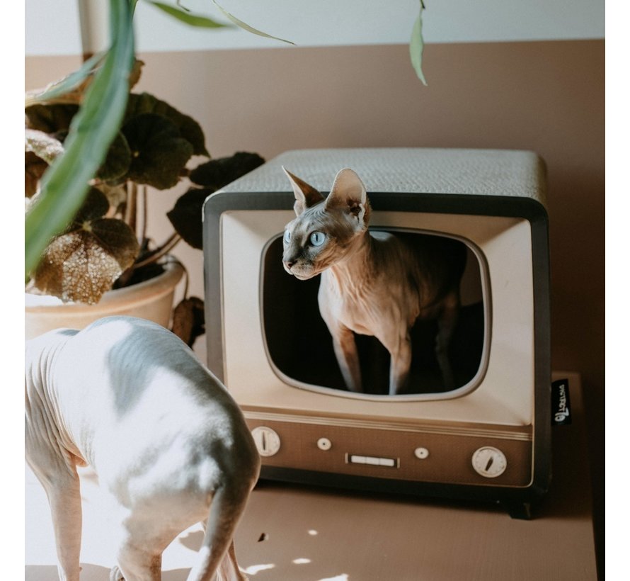 Scratching Post Telly
