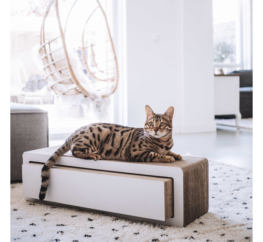 Scratching Post Stretch