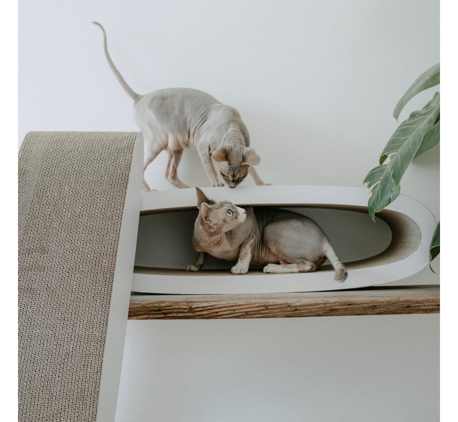 Scratching Post Oval Office