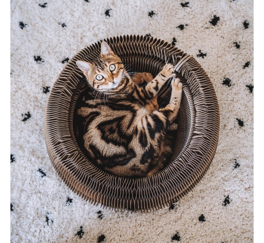 Cat Bed Maze