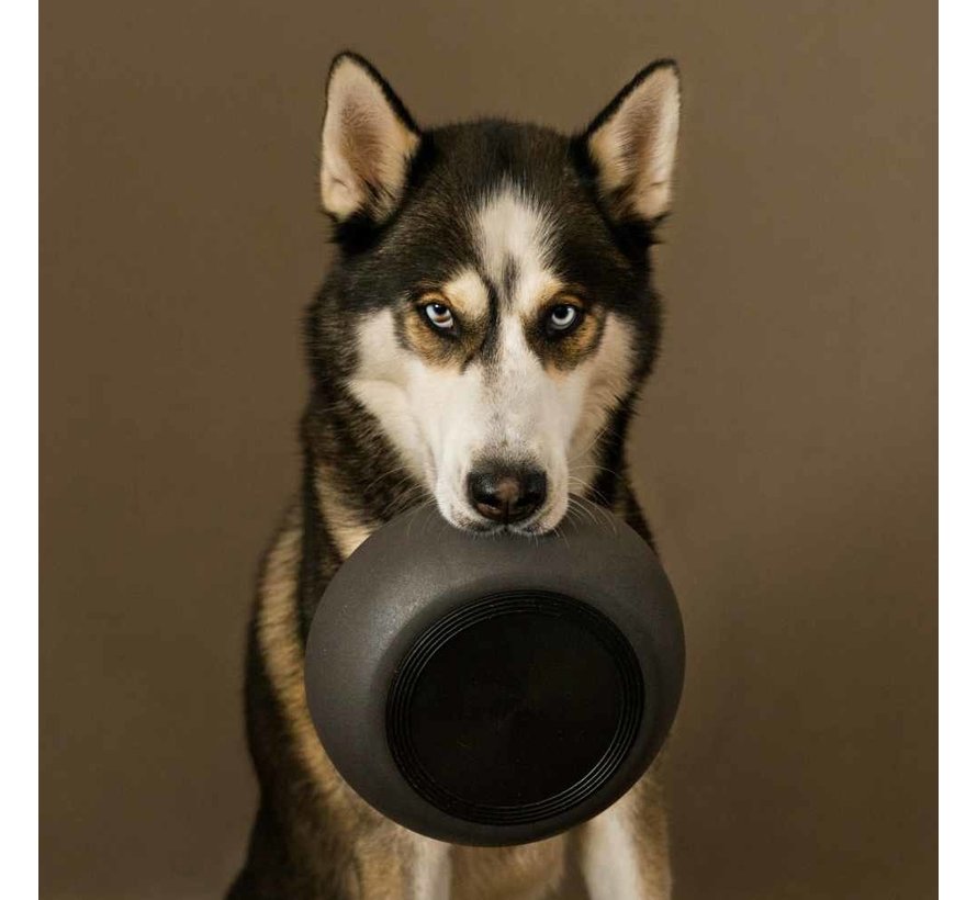 BAMBOO Dog Food Bowl Dark Grey