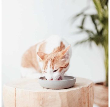 District70 Cat Bowl Bamboo Merengue