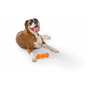 West Paw Dog Toy Zogoflex Rumpus Orange