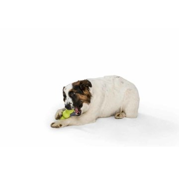West Paw Dog Toy Zogoflex Rumpus Green