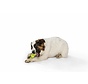 Dog Toy Zogoflex Rumpus Green