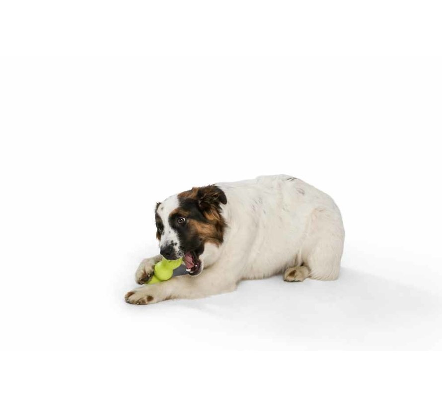 Dog Toy Zogoflex Rumpus Green