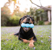 West Paw Dog Toy Zogoflex Rumpus Aqua