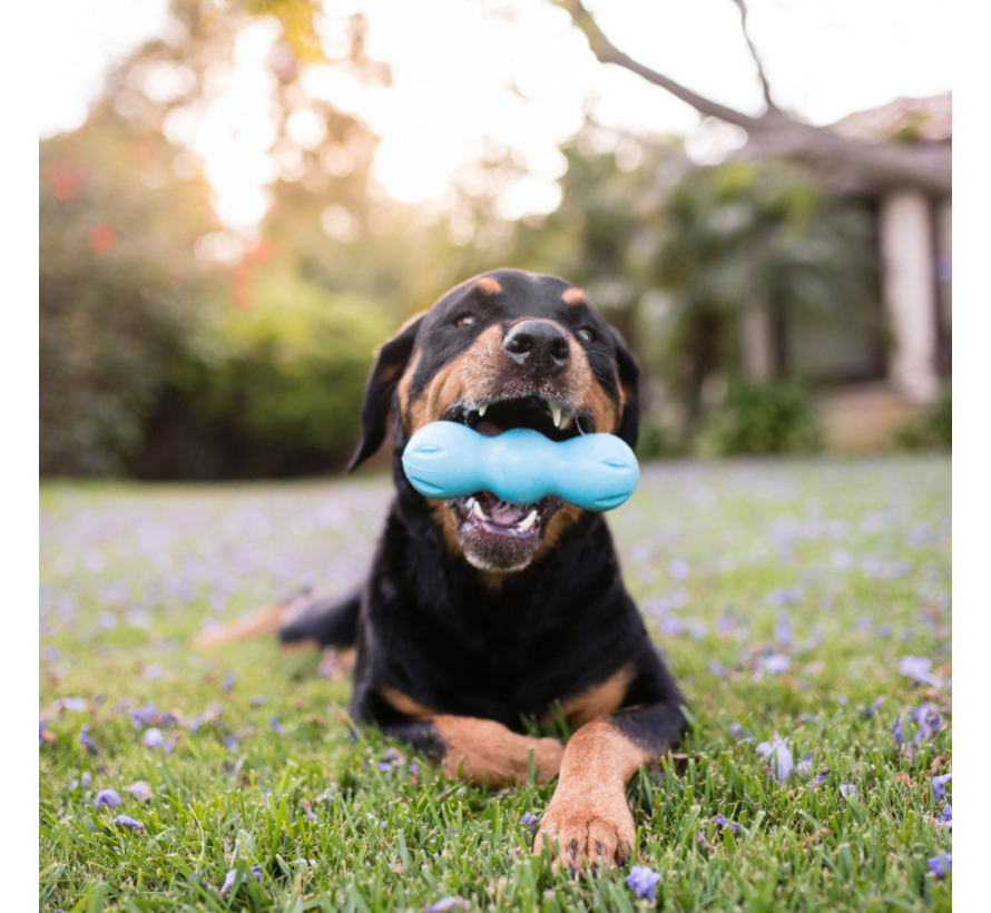 Hondenspeelgoed Zogoflex Rumpus Aqua