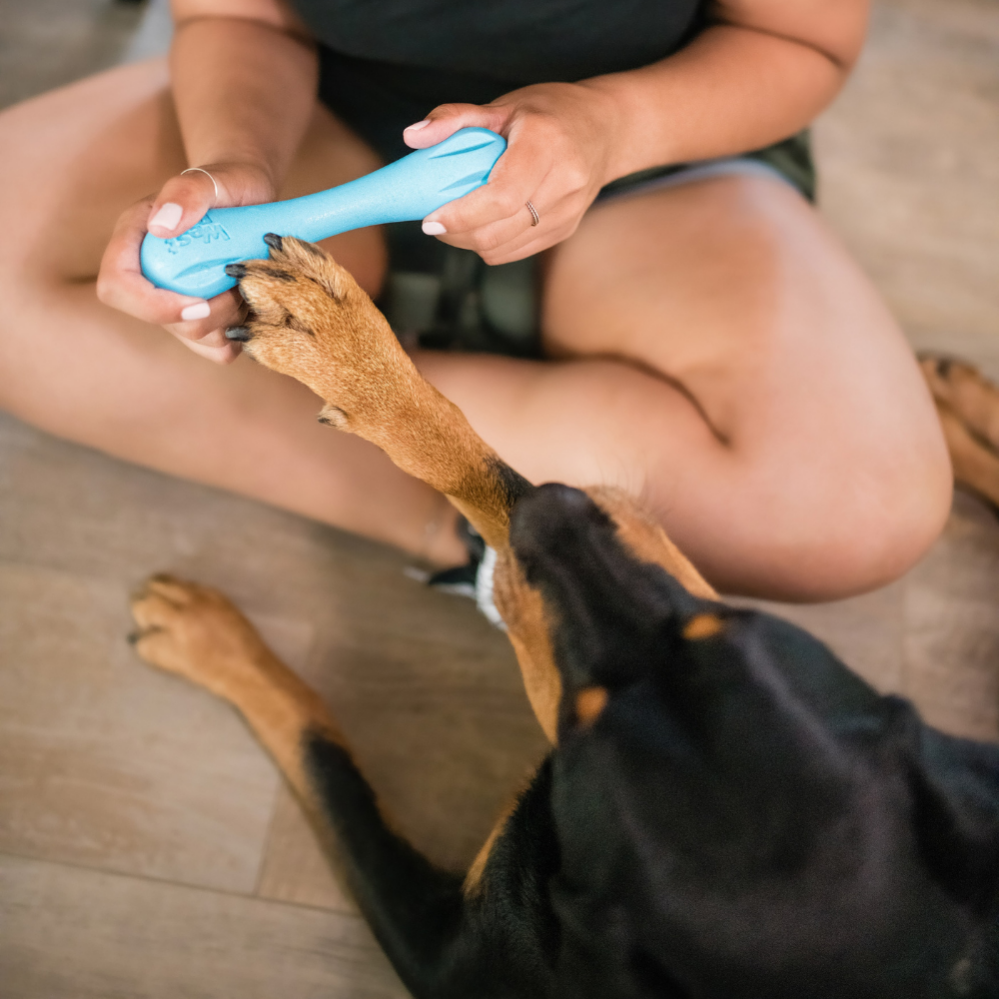 Zogoflex Hurley Dog Bone - Mini (XS) - Aqua