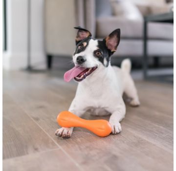 West Paw Design Dog Toy Zogoflex Hurley Orange