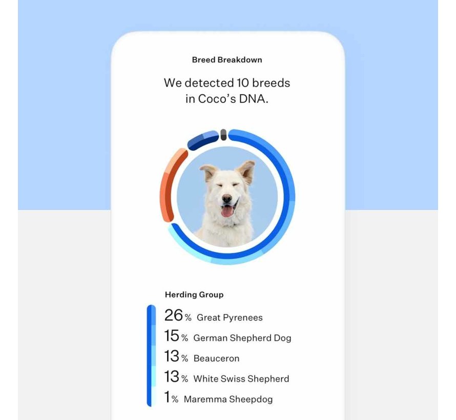 Essential DNA Test Dog