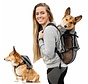 Multifunctional Dog Backpack Walk On Grey