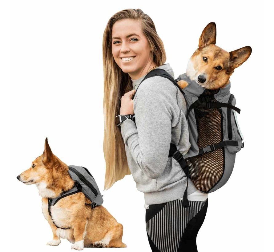 Multifunctional Dog Backpack Walk On Grey