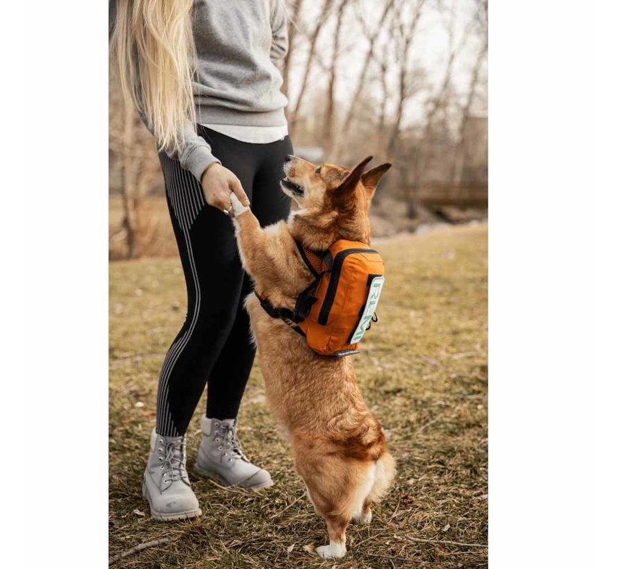 Multifunctionele Hondenrugzak Walk On Oranje