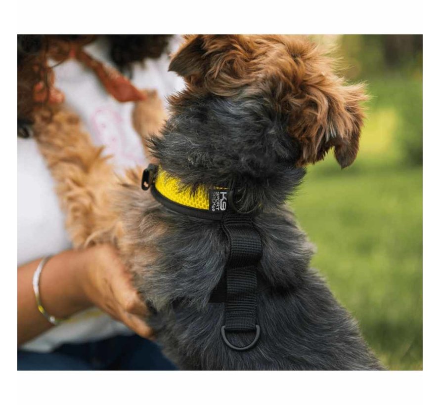 Dog Carrier Backpack Walk On Yellow