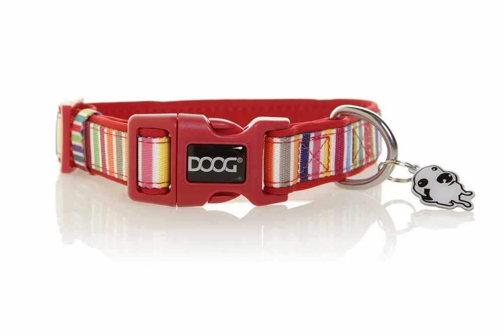 Hondenhalsband Neopreen Scooby