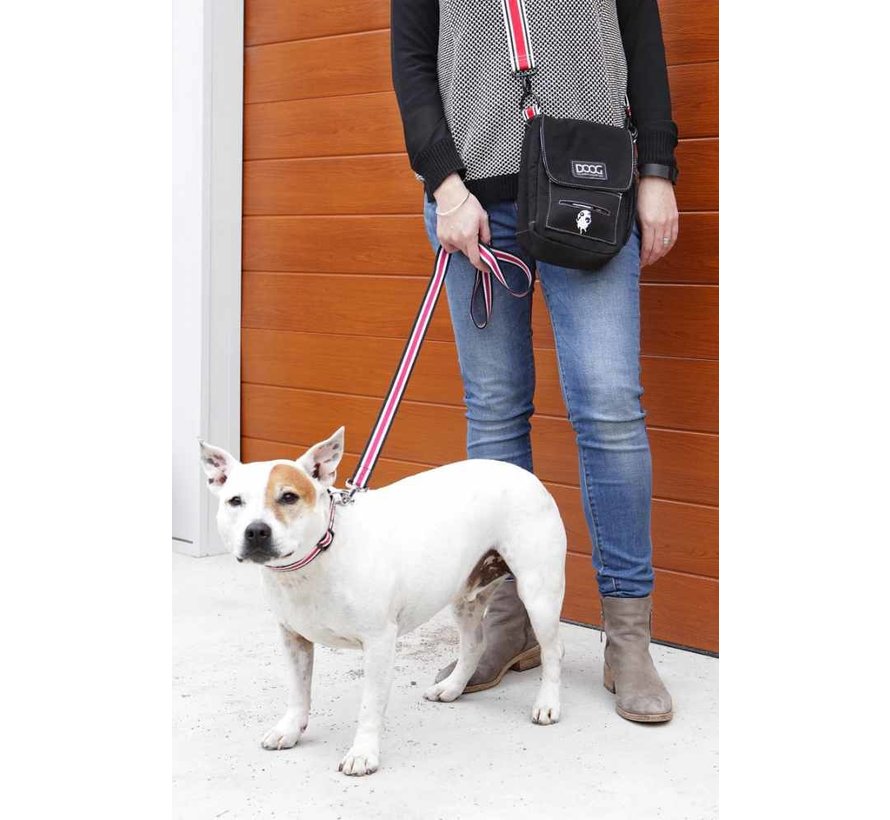 Crossbody Dog Walking Bag – Walkie Bag Black