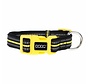 Dog Collar Neoprene Bolt