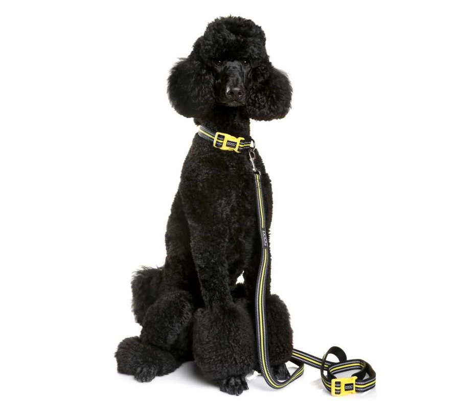 Dog Leash Neoprene Clip It Bolt