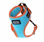 Dog Harness Neon Beethoven