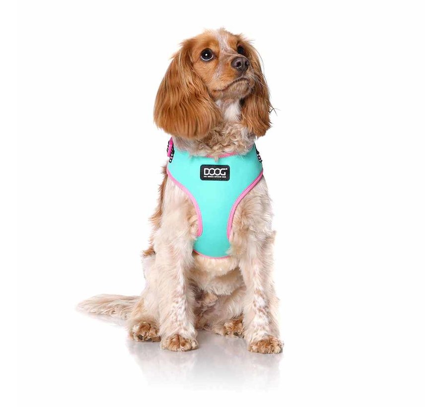 Dog Harness Neon Rin Tin Tin