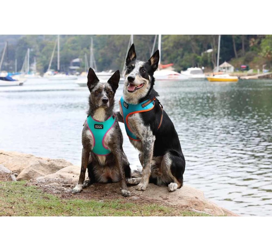 Dog Harness Neon Rin Tin Tin