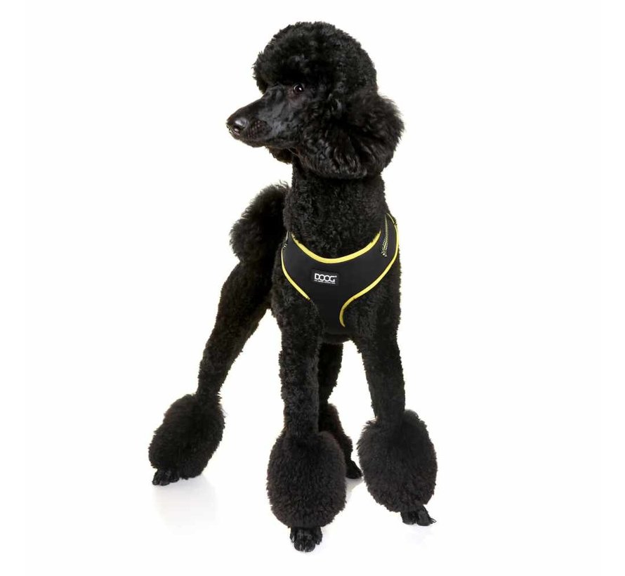 Dog Harness Neon Bolt