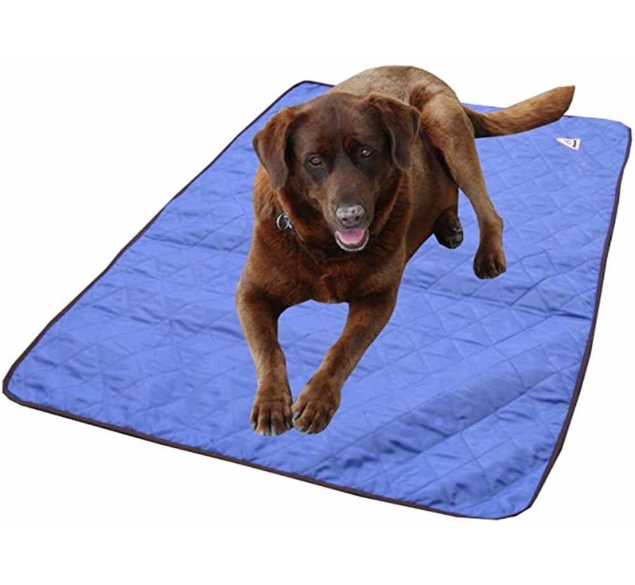 Dog Cooling Mat