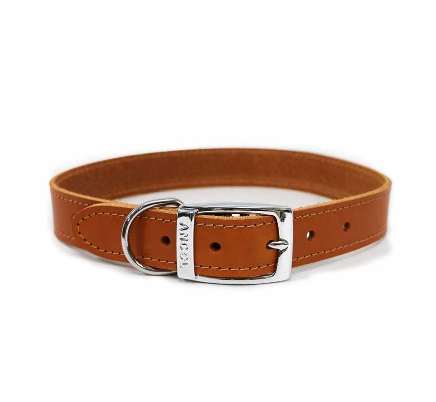 Dog Collar Classic Brown