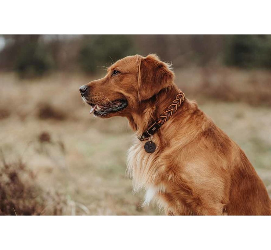 Dog Collar Solid Education Cord Brown Orange