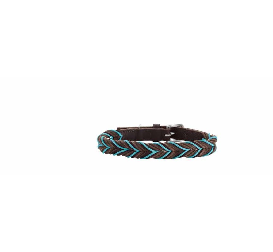 Dog Collar Solid Education Cord Brown Turquoise