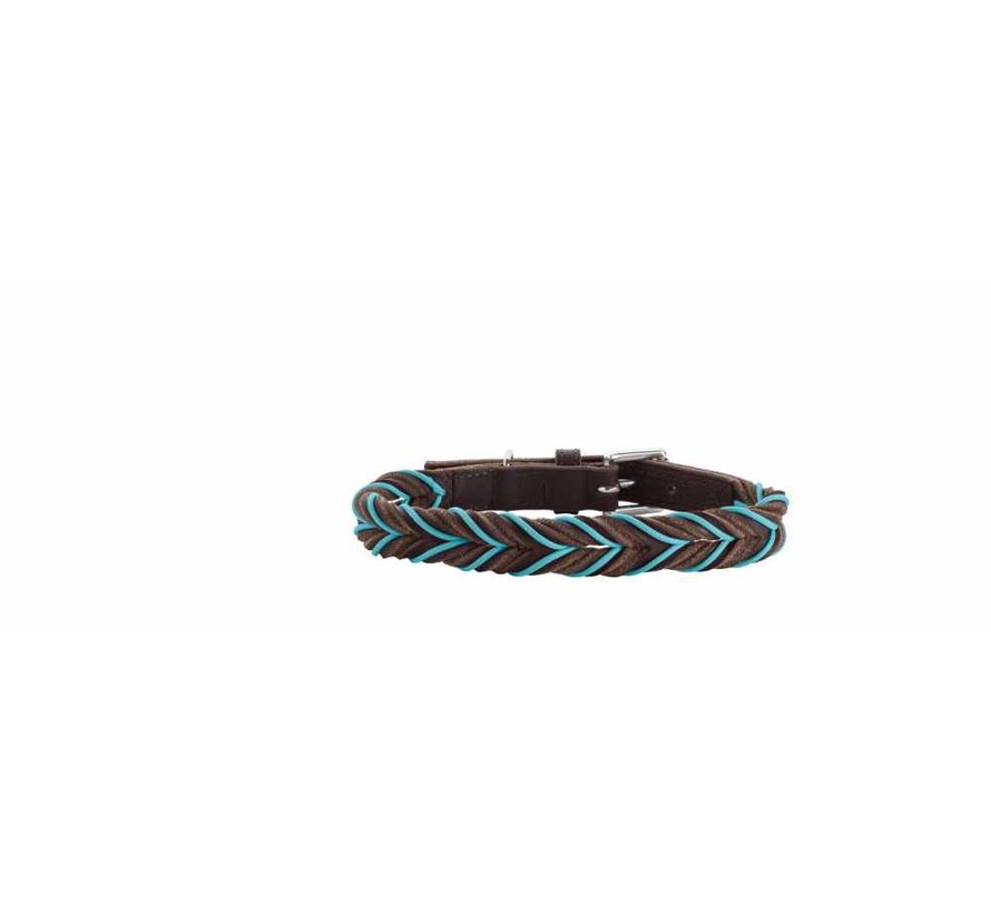 Hondenhalsband Solid Education Cord Bruin Turquoise