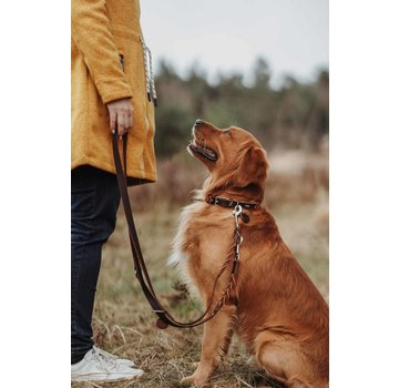 Hunter Dog Leash Solid Education Cord Brown - Orange