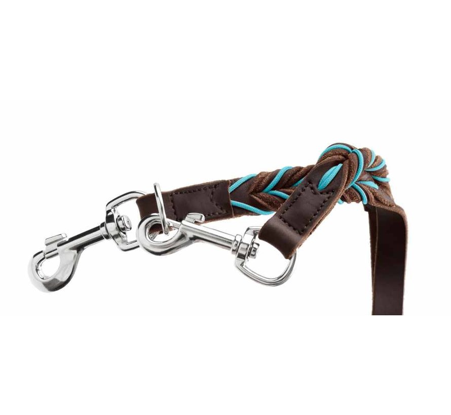Dog Leash Solid Education Cord Brown Turquoise