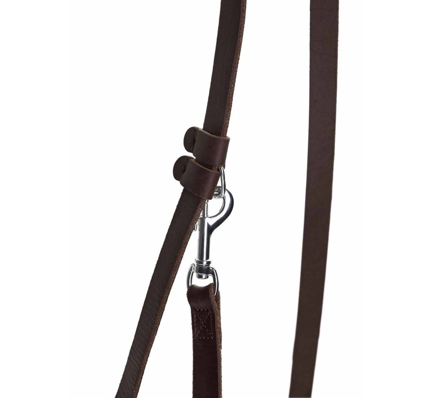 Long Adjustable Dog Leash Aalborg Dark Brown