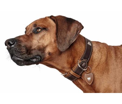 Hunter Dog Collar Tara Brown/Cognac