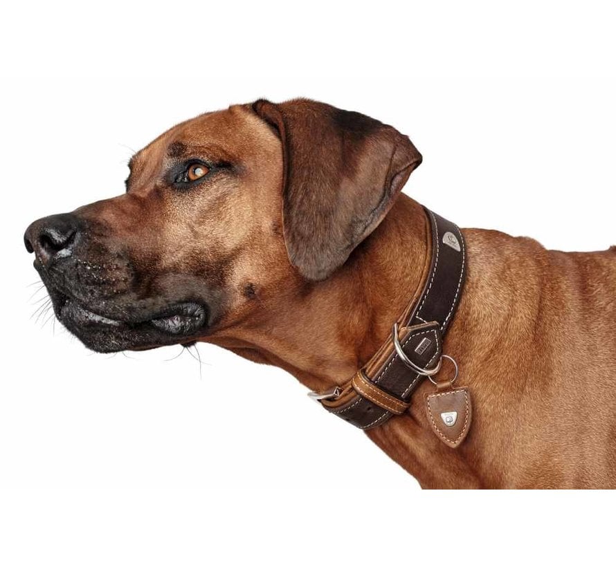 Dog Collar Tara Brown/Cognac