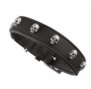 Hunter Dog Collar Tijuana